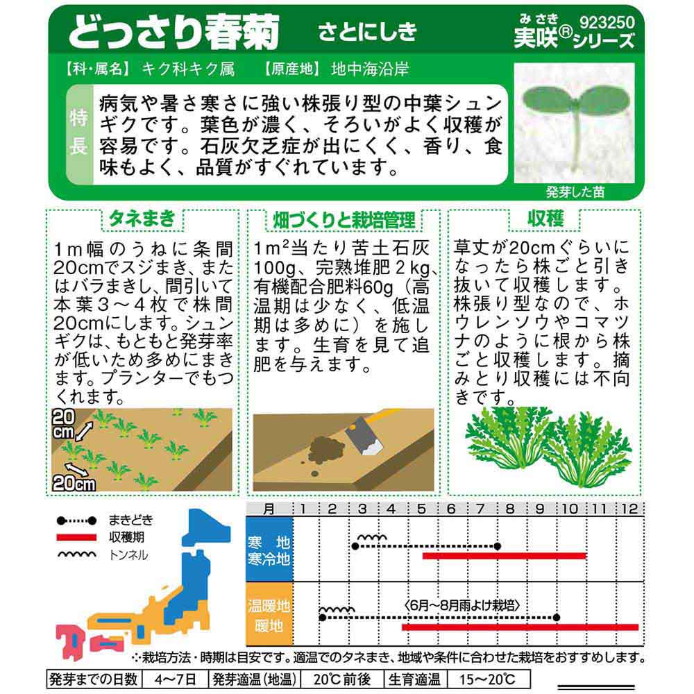シュンギク_株張りシュンギク_さとにしき　春秋兼用