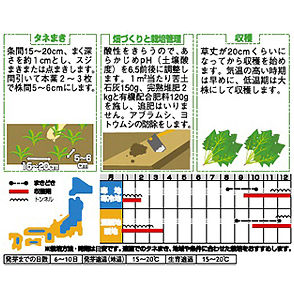 ホウレンソウ_まほろば