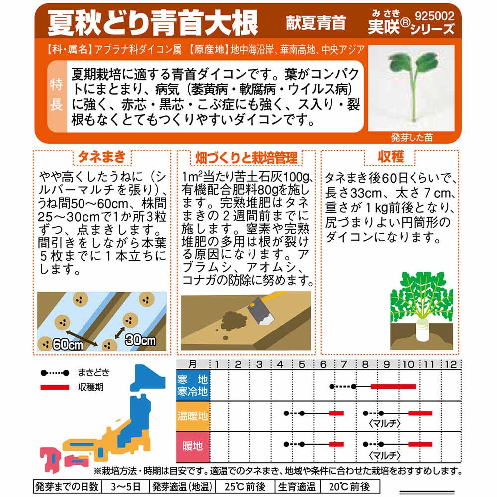 ダイコン_献夏青首　春秋兼用