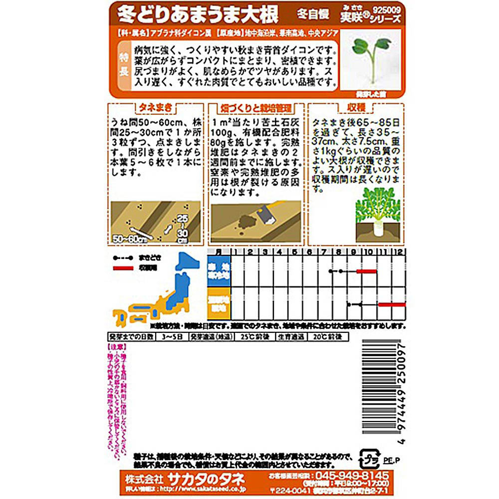 ダイコン_冬自慢
