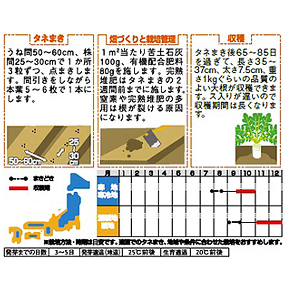 ダイコン_冬自慢