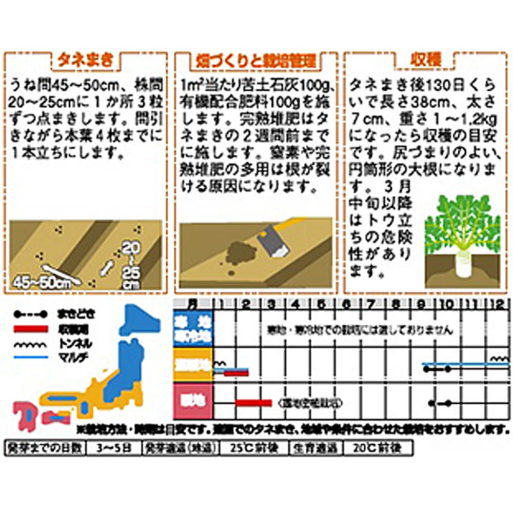 ダイコン_冬みねセブン