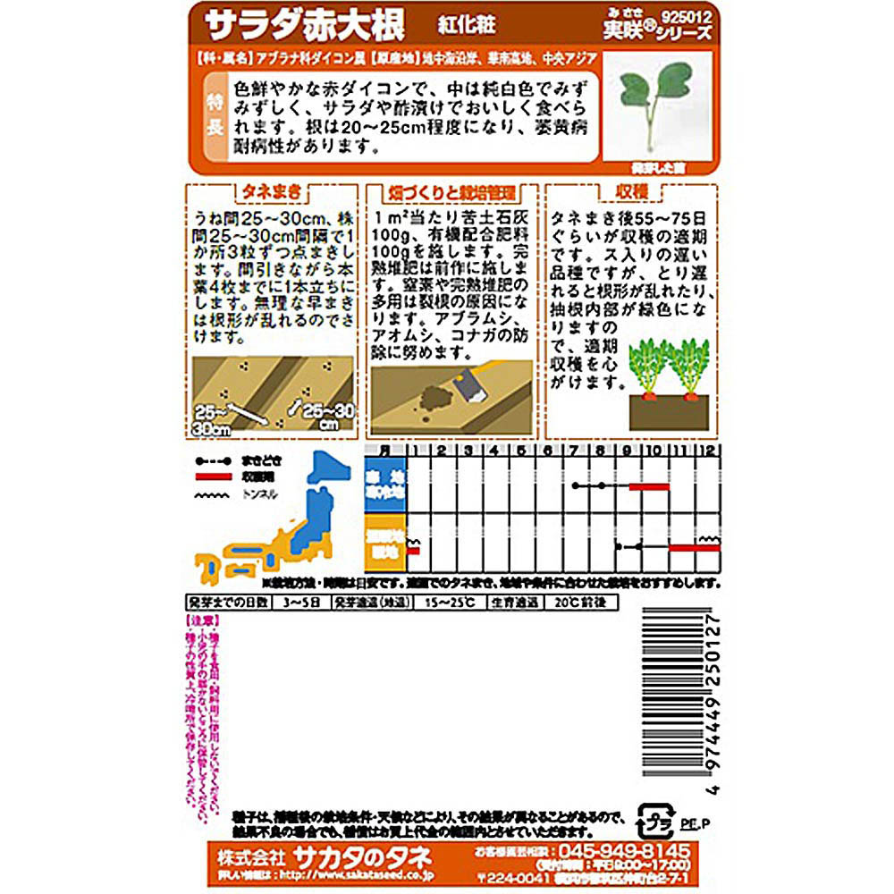 ダイコン_紅化粧