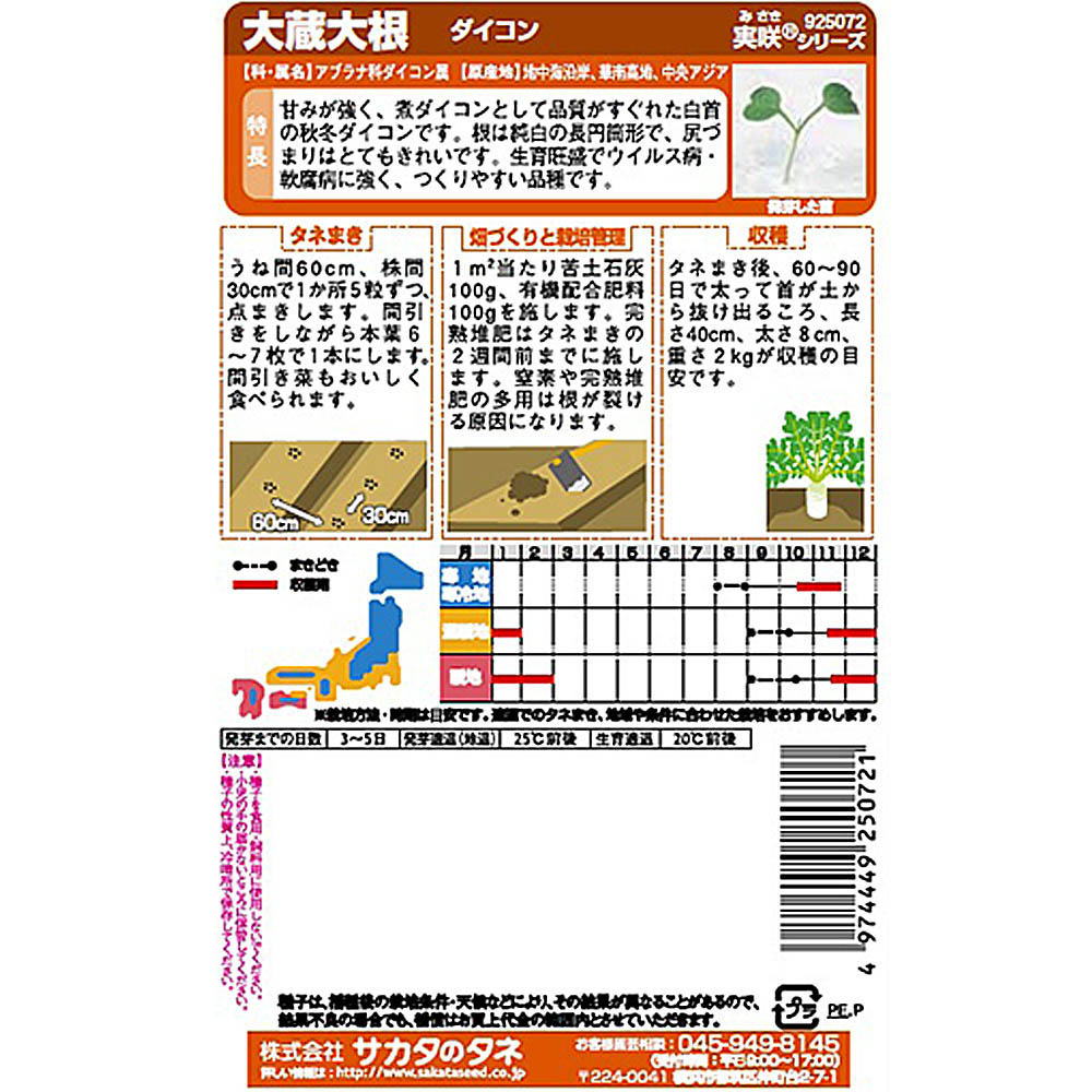 ダイコン_大蔵大根
