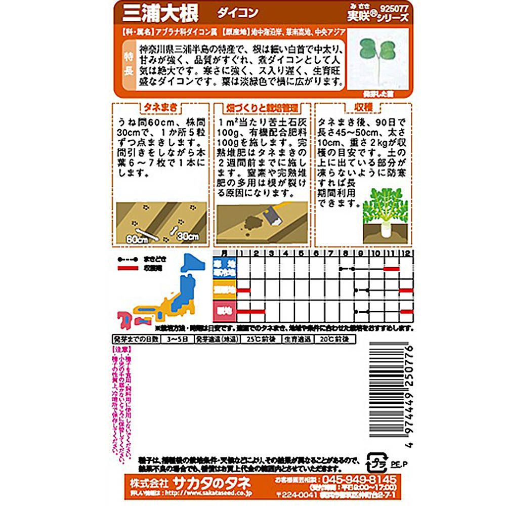 ダイコン_三浦大根