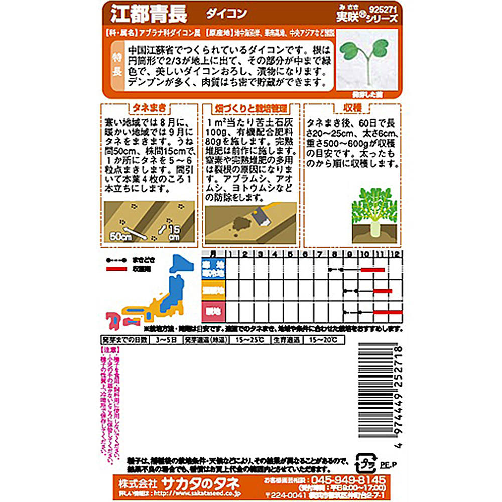 ダイコン_中国ダイコン_江都青長