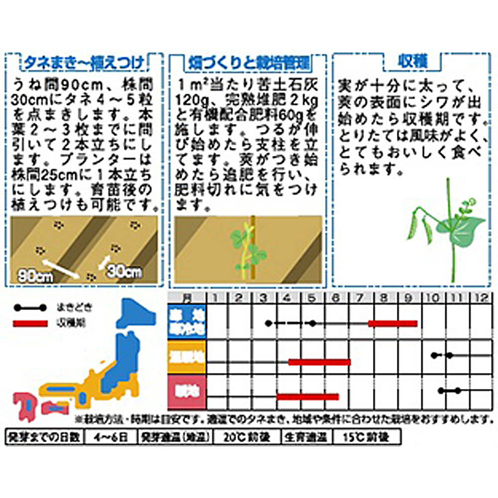 グリーンピース_実エンドウ　春秋兼用