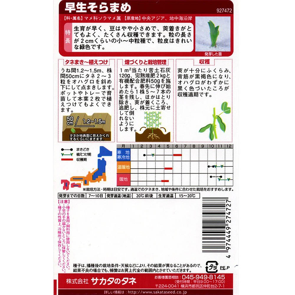 ソラマメ＿早生そらまめ