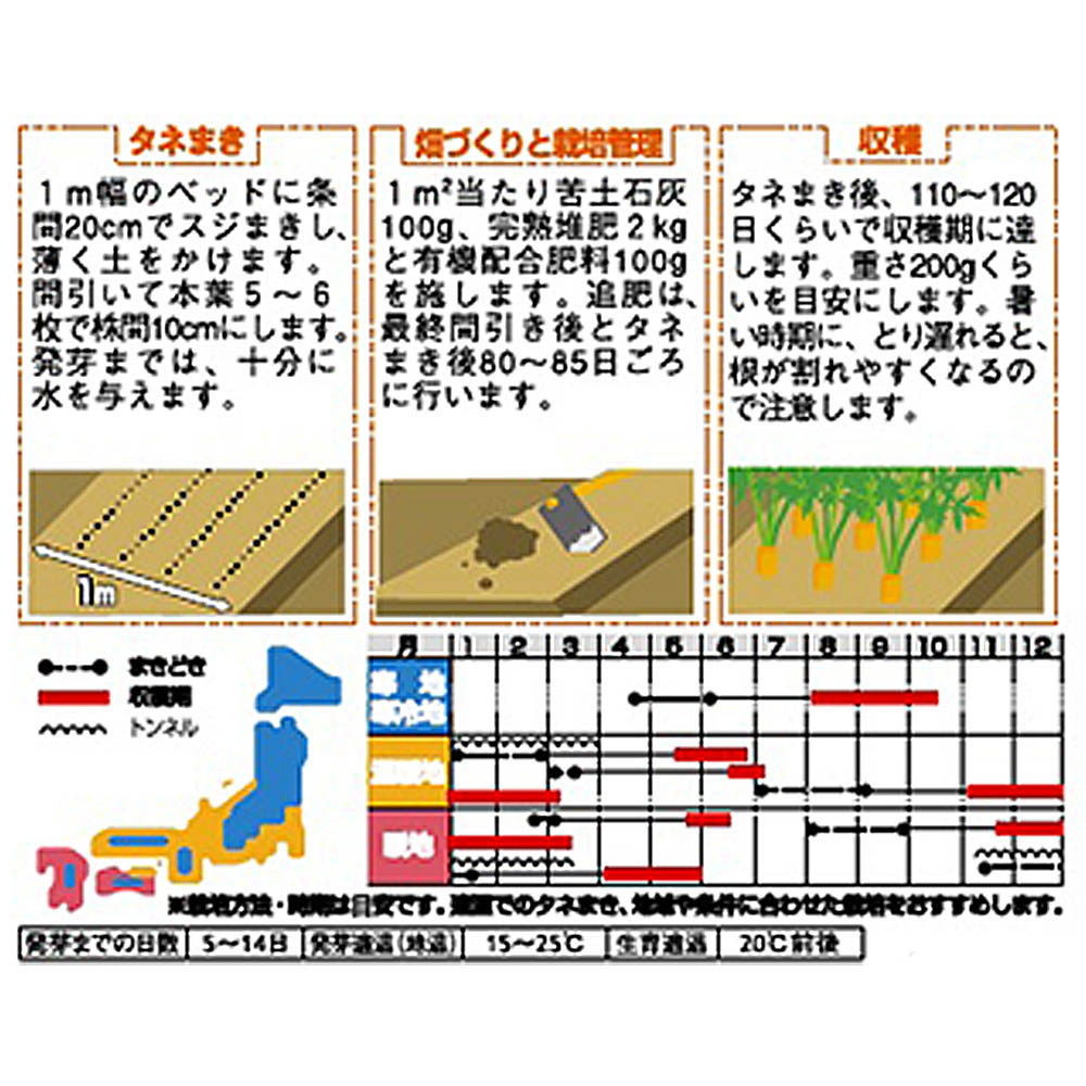 ニンジン_時なし五寸_徳用袋　春秋兼用