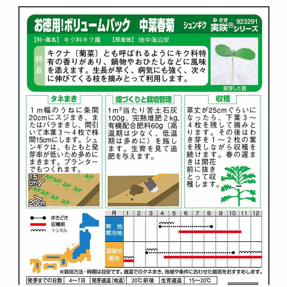 シュンギク_中葉春菊_徳用袋　春秋兼用