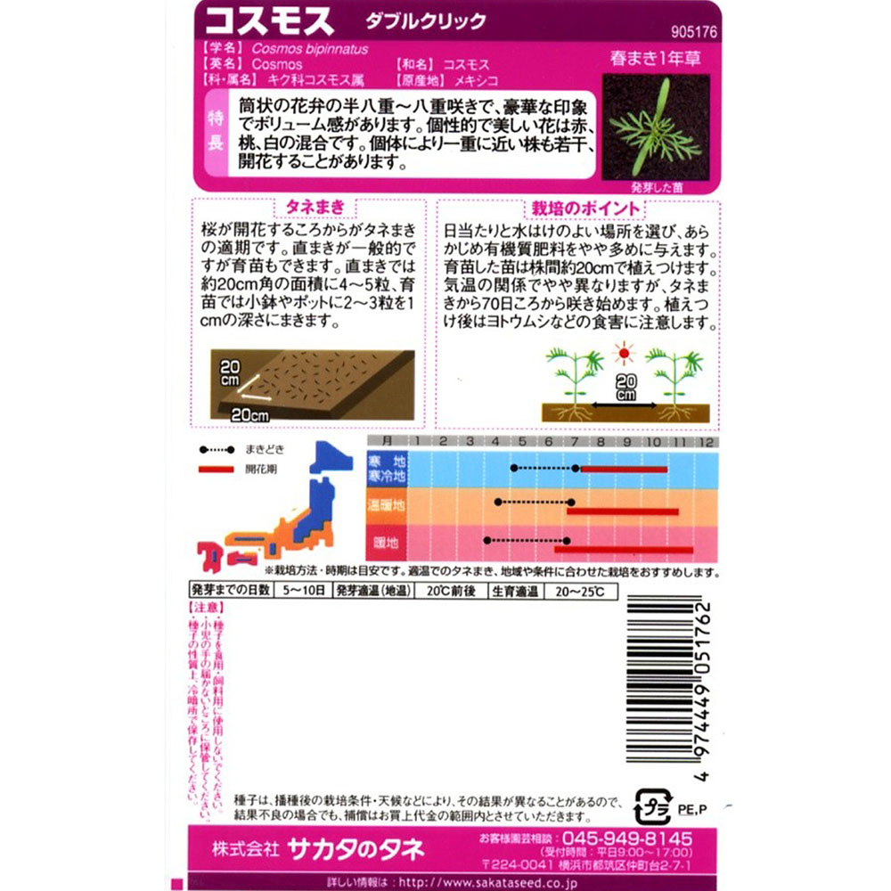 コスモス_ダブル クリック　春秋兼用
