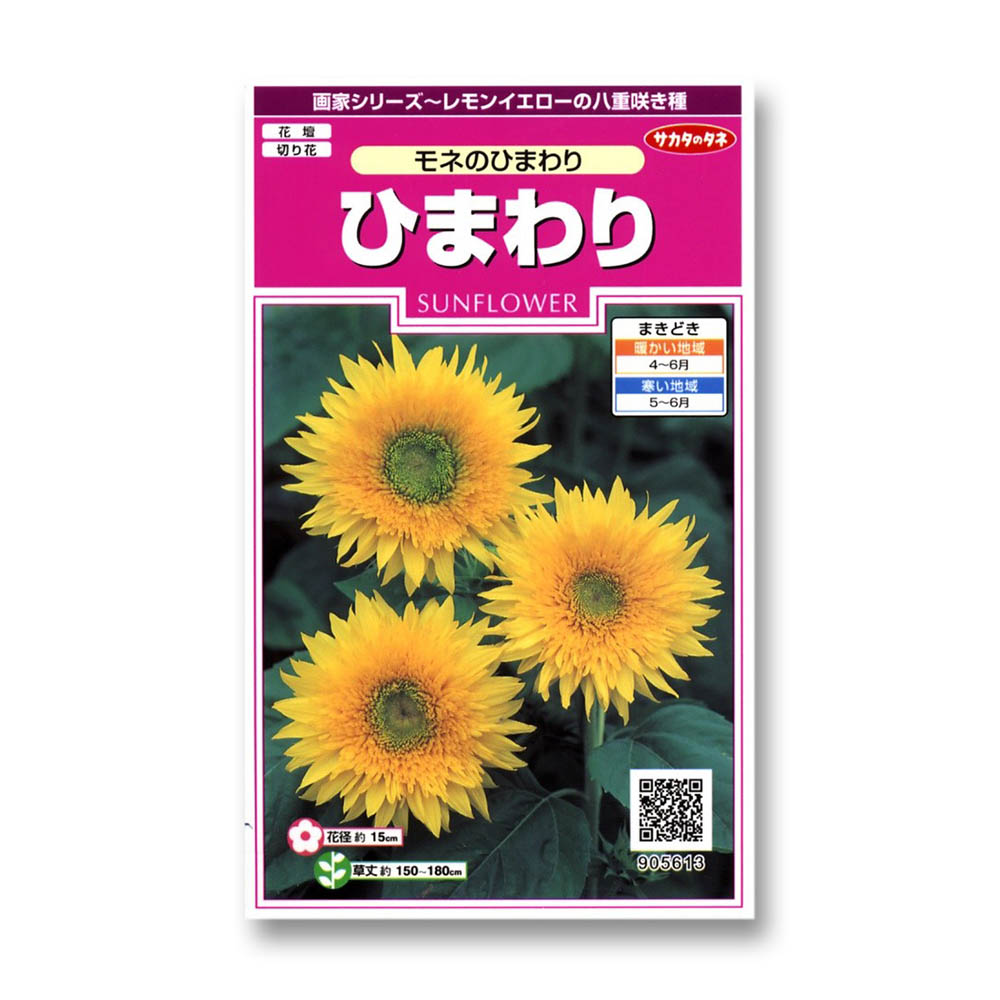ひまわり_モネのひまわり　春秋兼用
