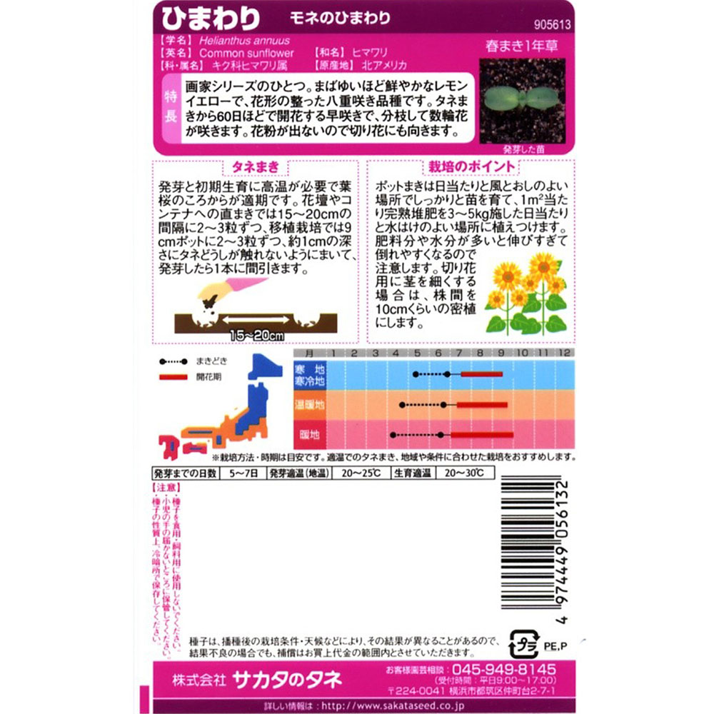 ひまわり_モネのひまわり　春秋兼用