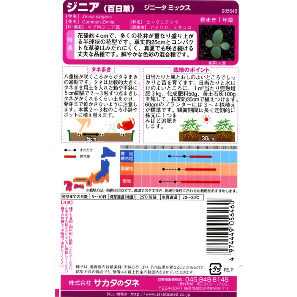 百日草_ジニータ ミックス　春秋兼用