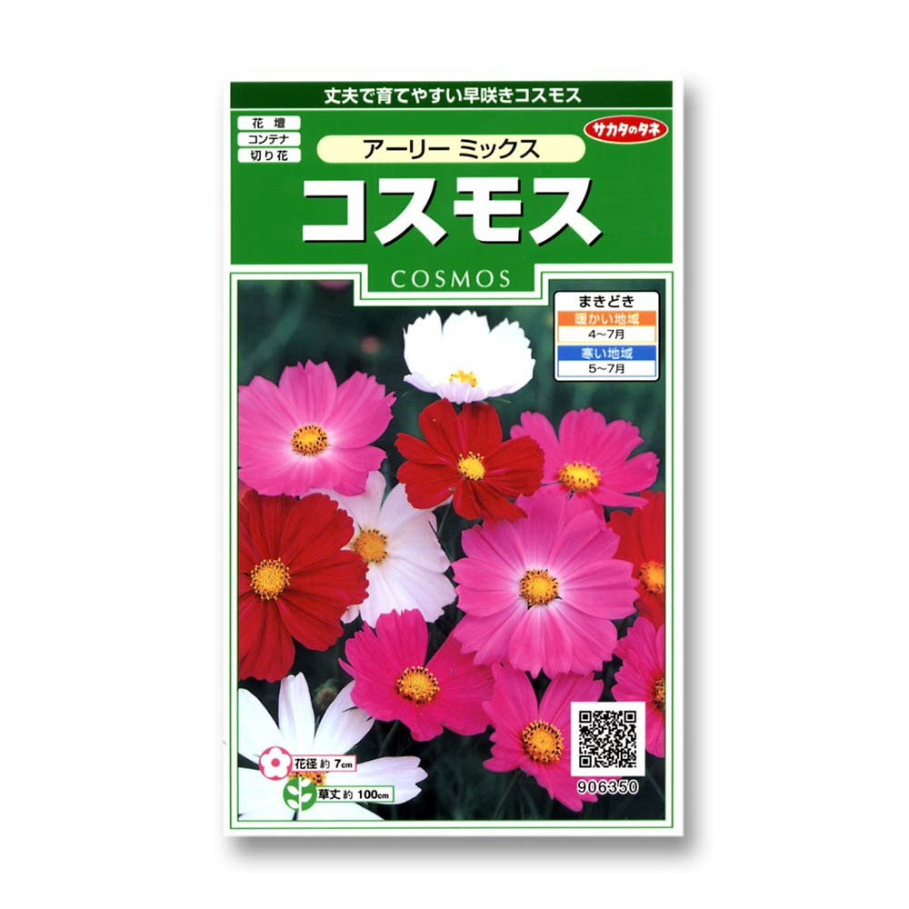 コスモス_アーリーミックス　春秋兼用