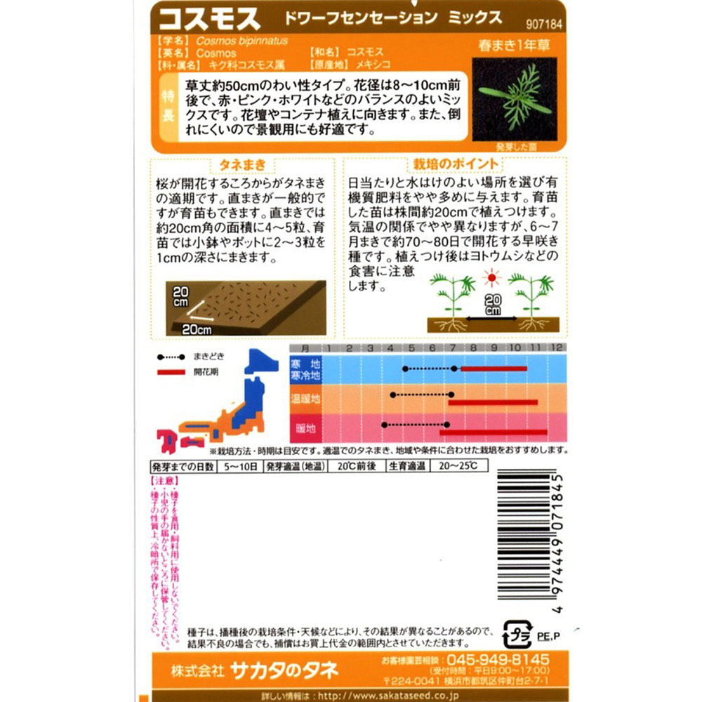 コスモス_ドワーフセンセーションミックス　春秋兼用