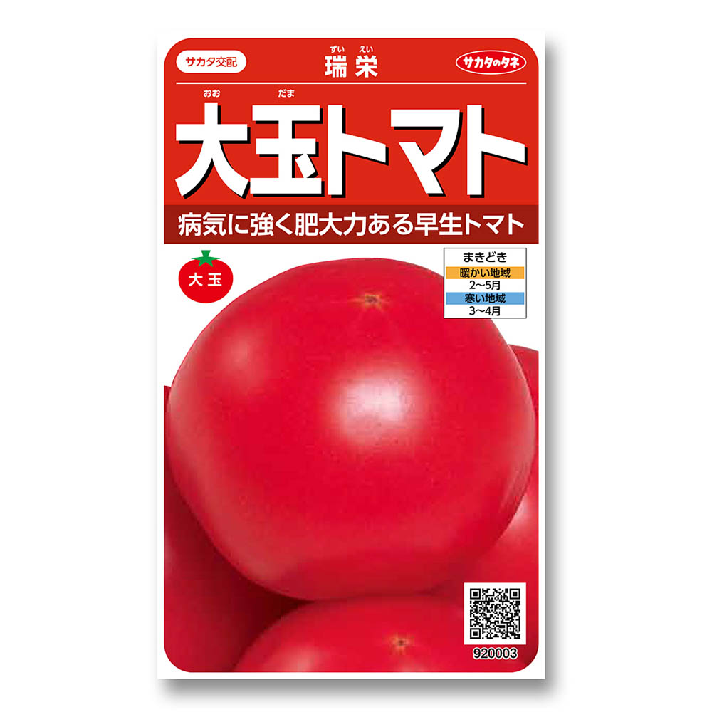 トマト_大玉トマト_瑞栄　春まき
