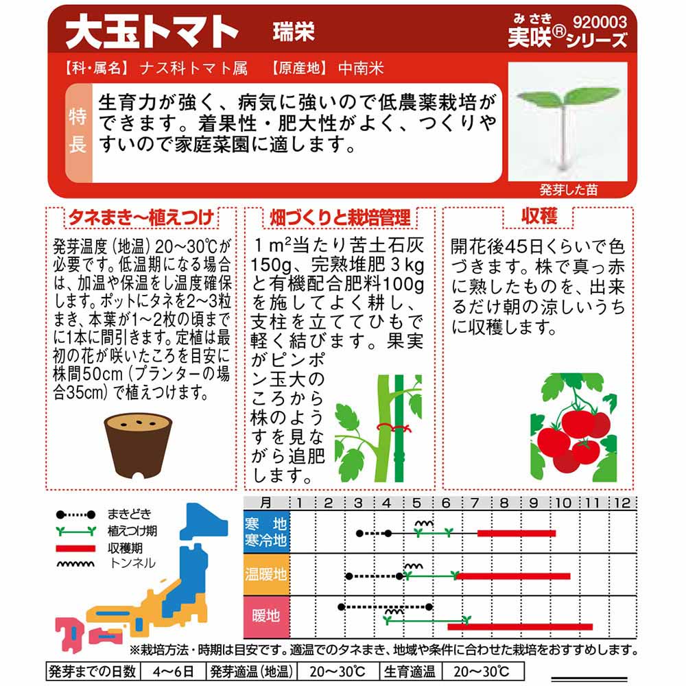トマト_大玉トマト_瑞栄　春まき