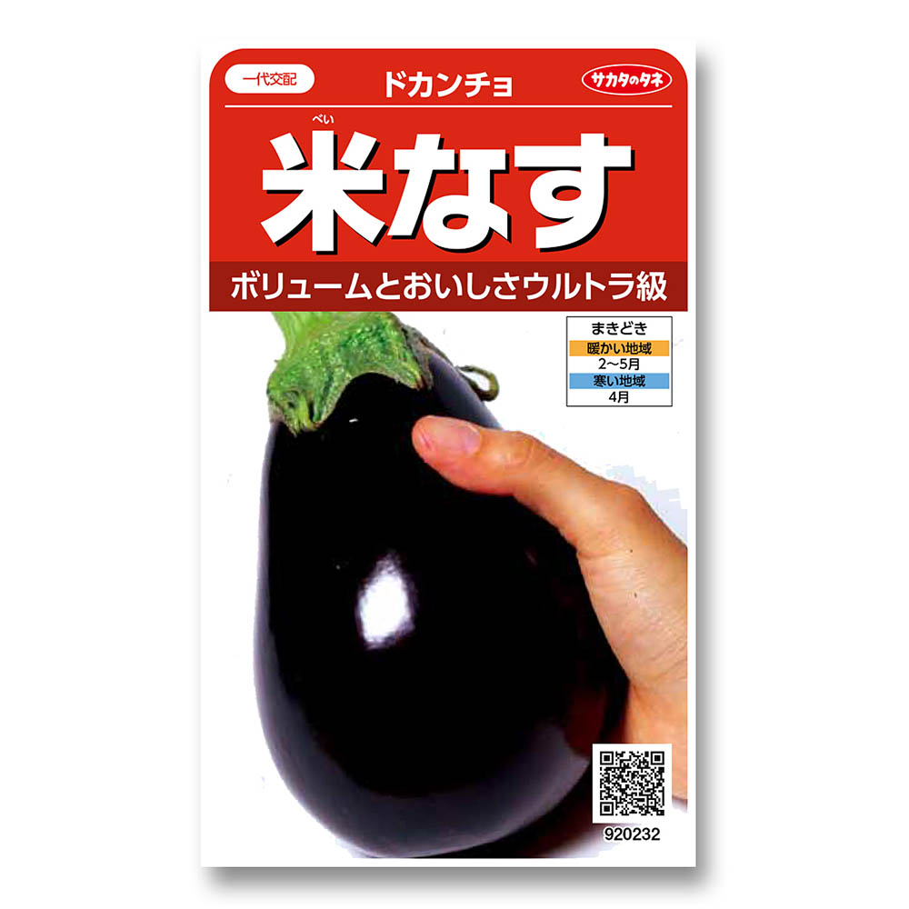 ナス_米ナス_ドカンチョ　春まき
