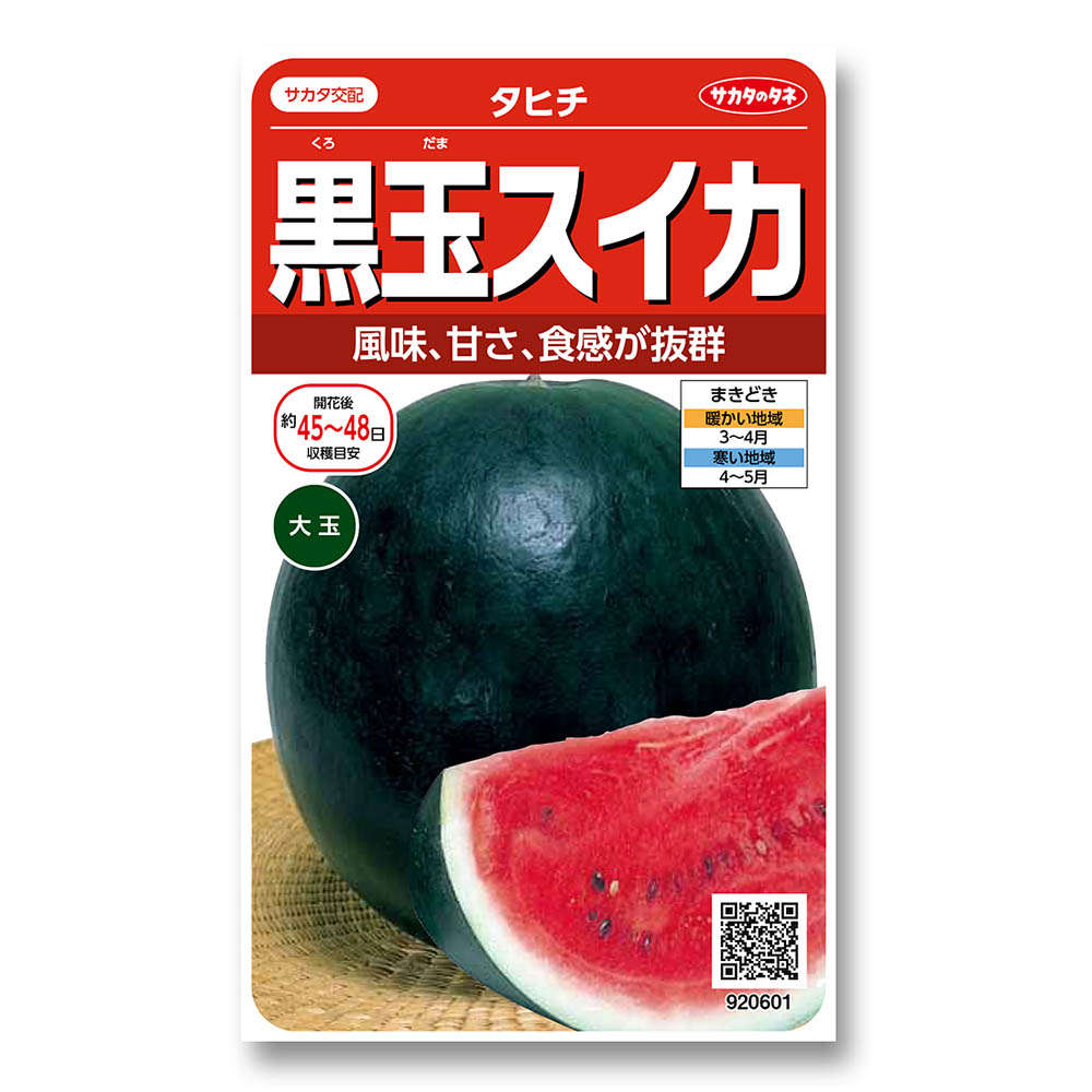 スイカ_タヒチ　春まき