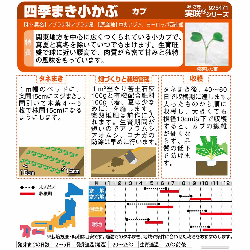 カブ_四季まき小かぶ　春秋兼用