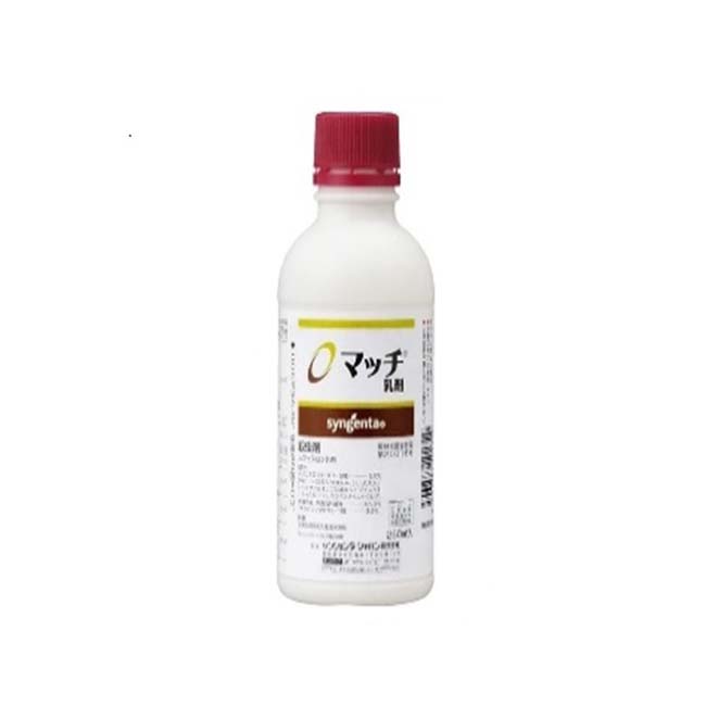 マッチ乳剤 250ml　250ml