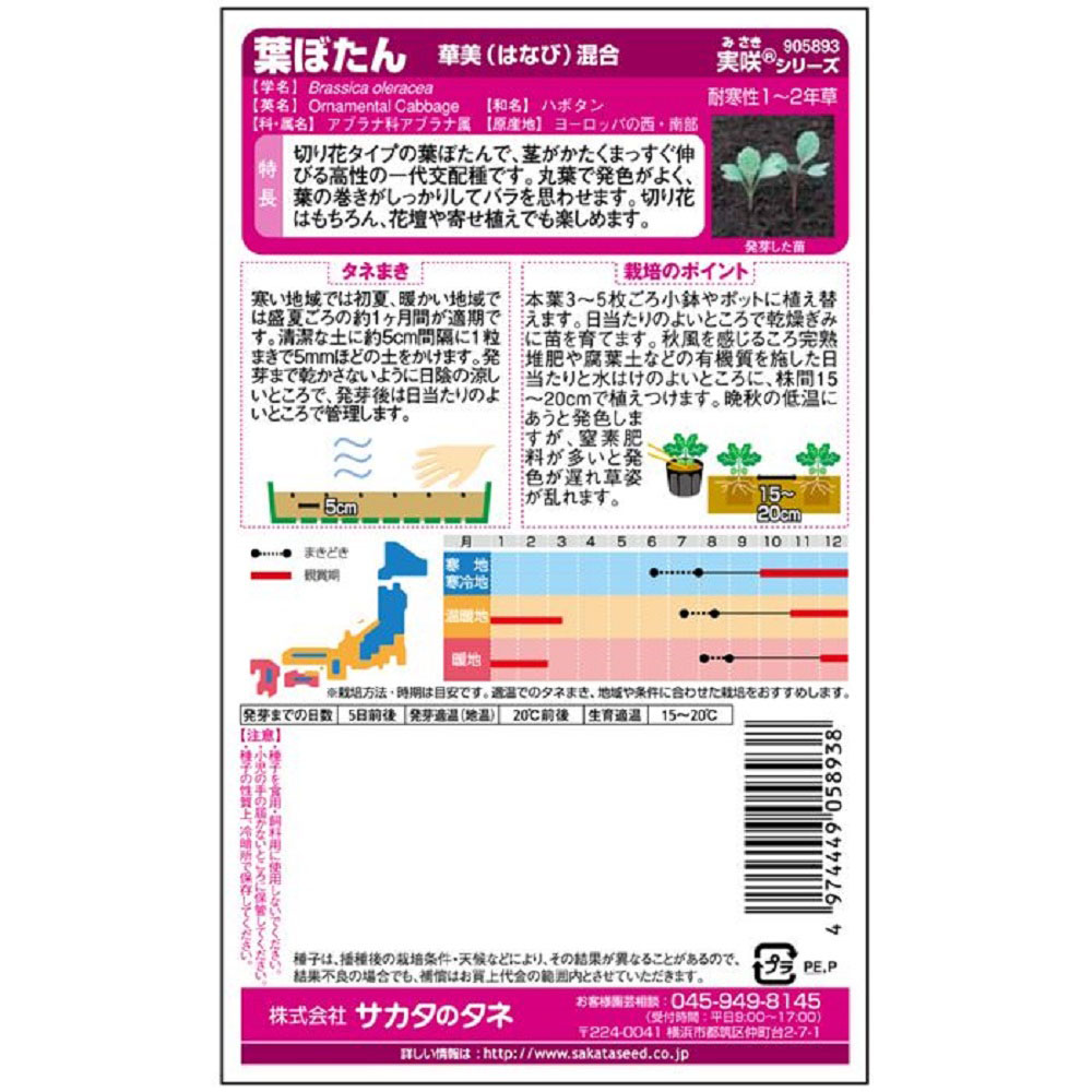 葉ぼたん_華美混合　春秋兼用