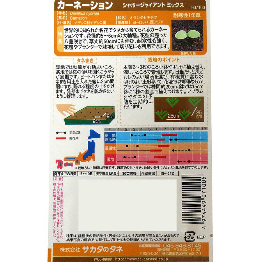 カーネーション_シャボージャイアント　春秋兼用