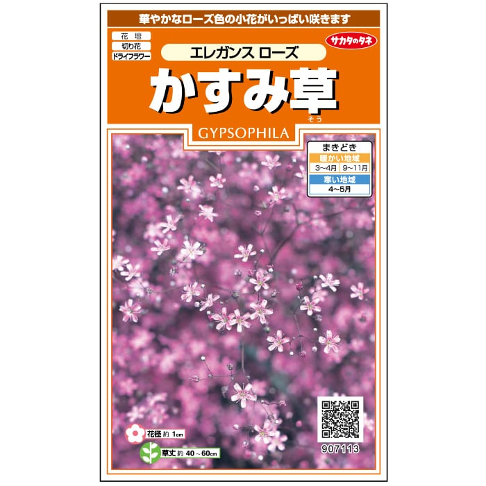 かすみ草＿エレガンスローズ　春秋兼用