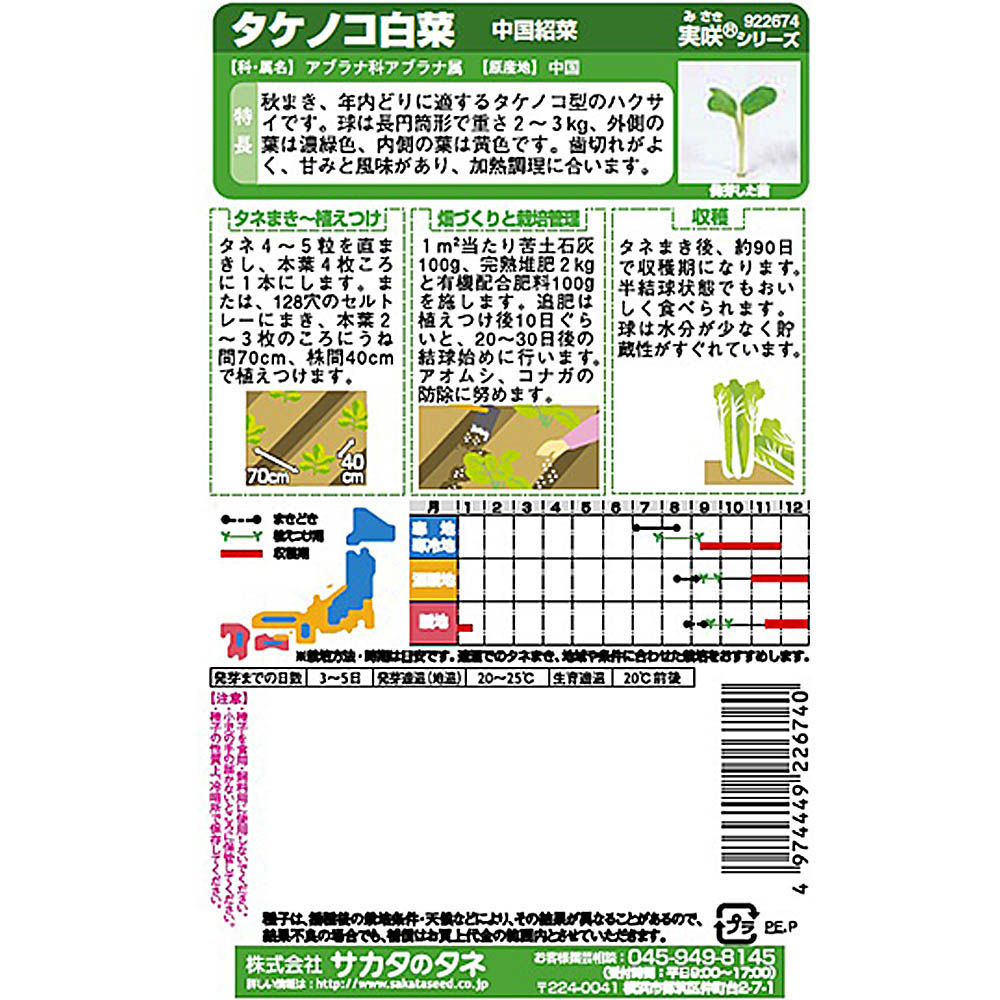 白菜_中国紹菜白菜