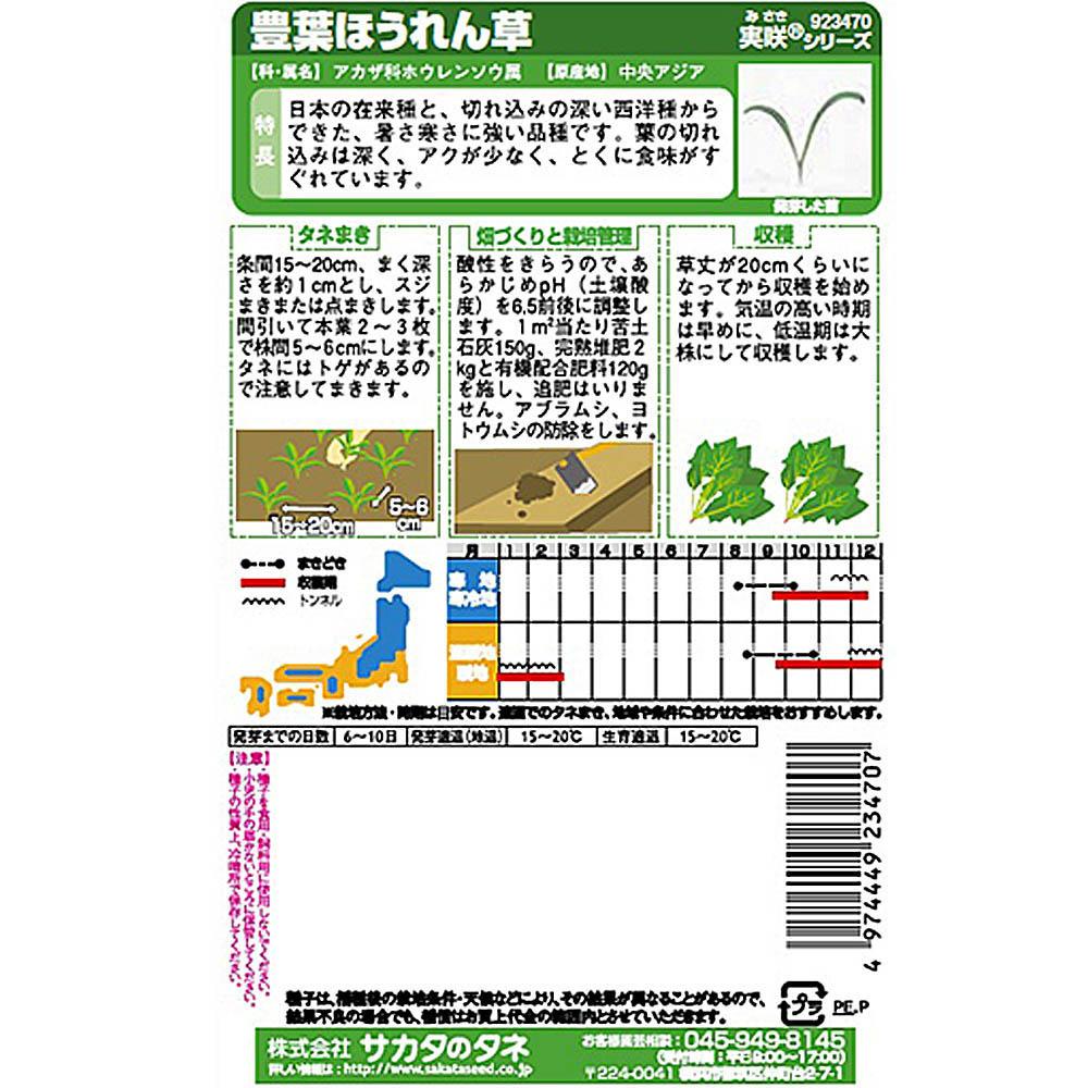 ホウレンソウ_豊葉ほうれん草