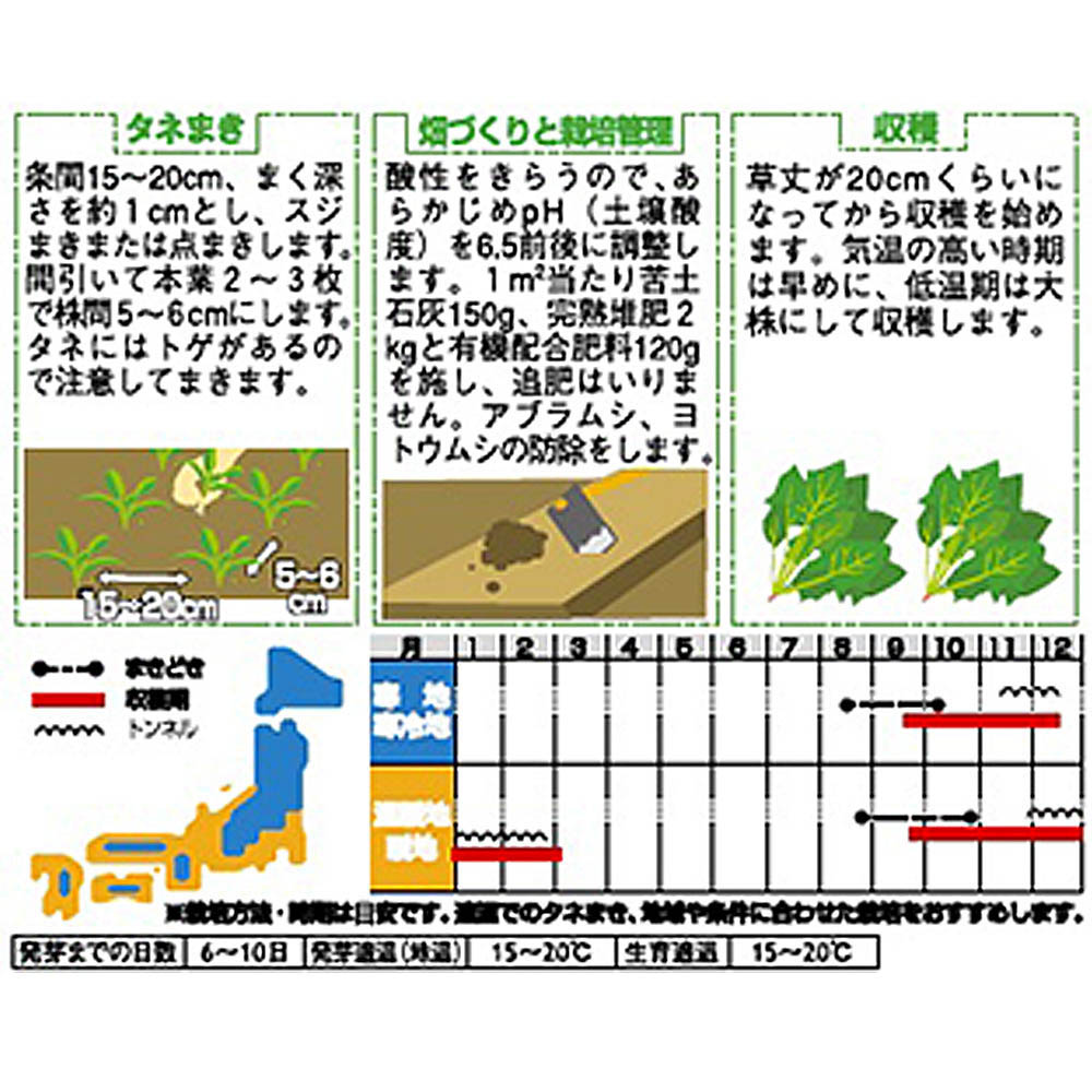 ホウレンソウ_豊葉ほうれん草