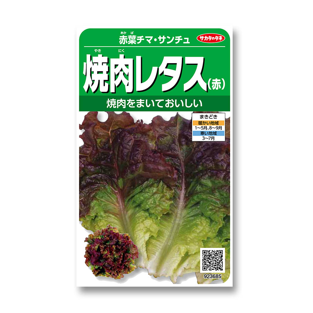 野菜種 サンチュ 焼肉レタス 赤葉チマ サンチュ サカタのタネ ２ ５ｍｌ ジョイフル本田 店舗受取サービス