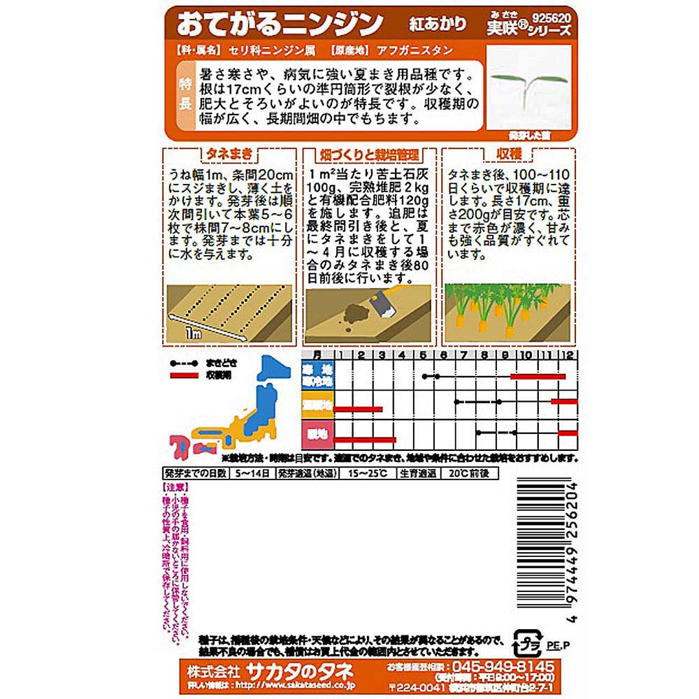 ニンジン_紅あかり　春秋兼用