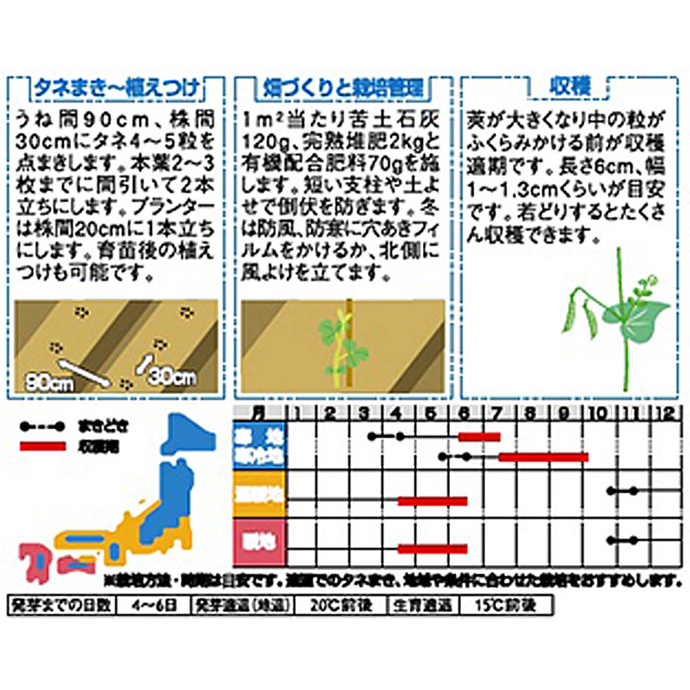 エンドウ_莢エンドウ_赤花つるなし