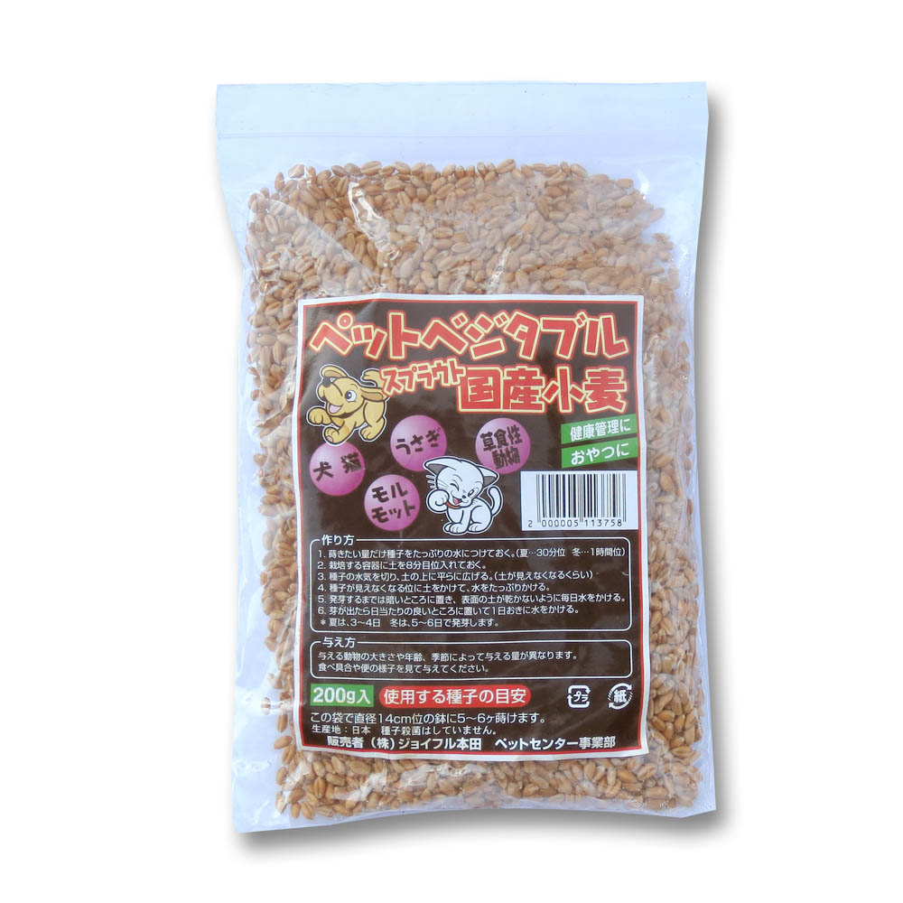 ペットベジタブル用種 国産小麦　200g