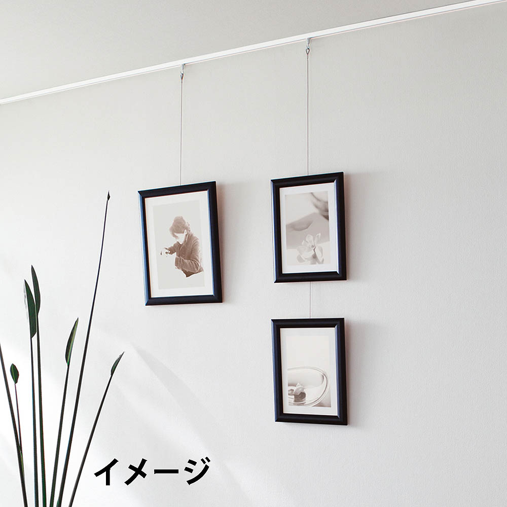 ピクチャー T1 レール(ネジアナアリ)ナチュラル 2M　T1レール ナチュラル2M
