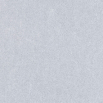 ワーロンシート No.2 雲竜　930x1850x0.2mm