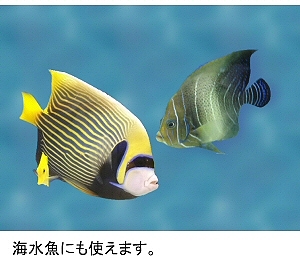 メガパワー９０１２