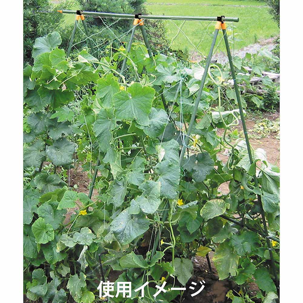 棚支柱セット TS-2.1　TS-2.1