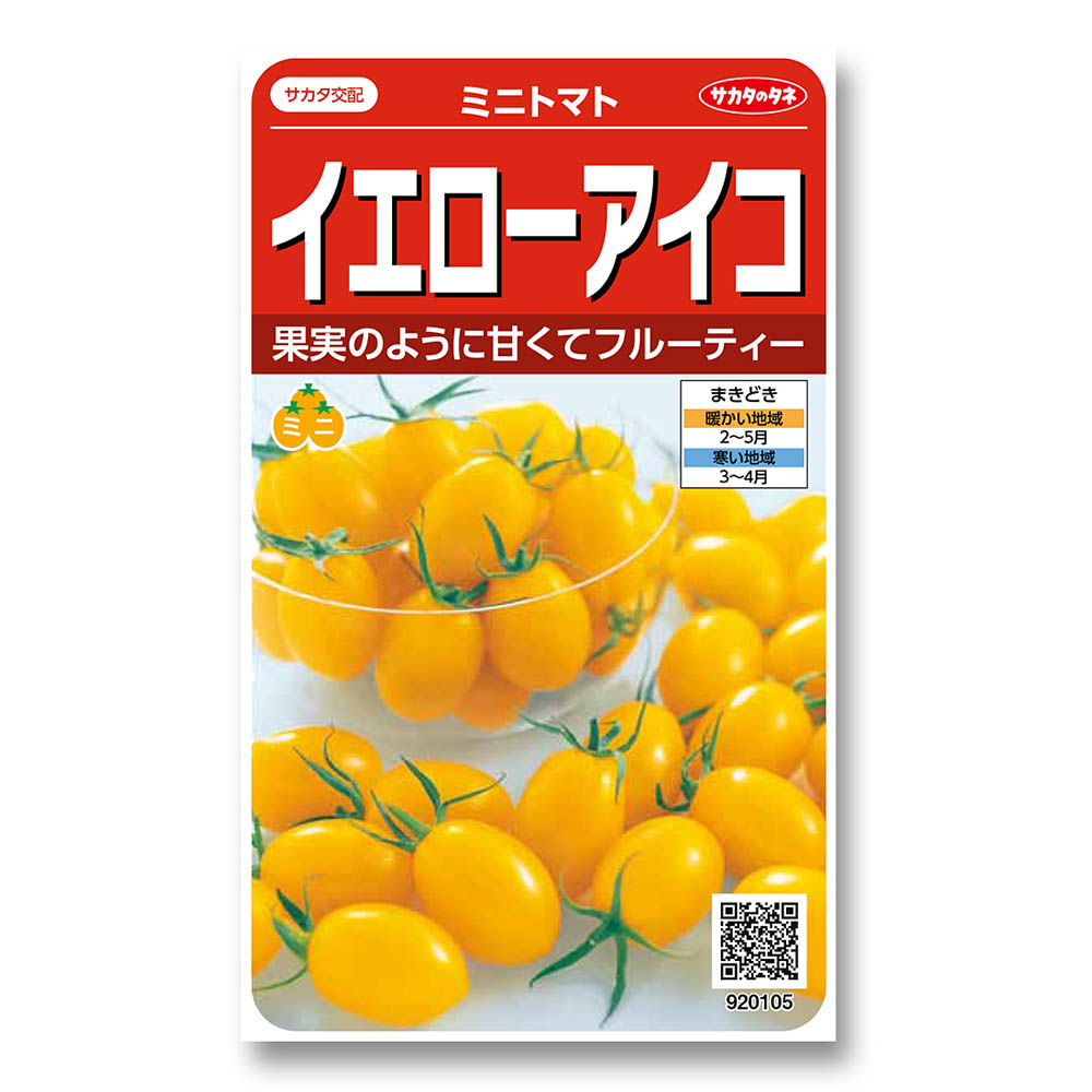 トマト_ミニトマト_イエローアイコ　春まき
