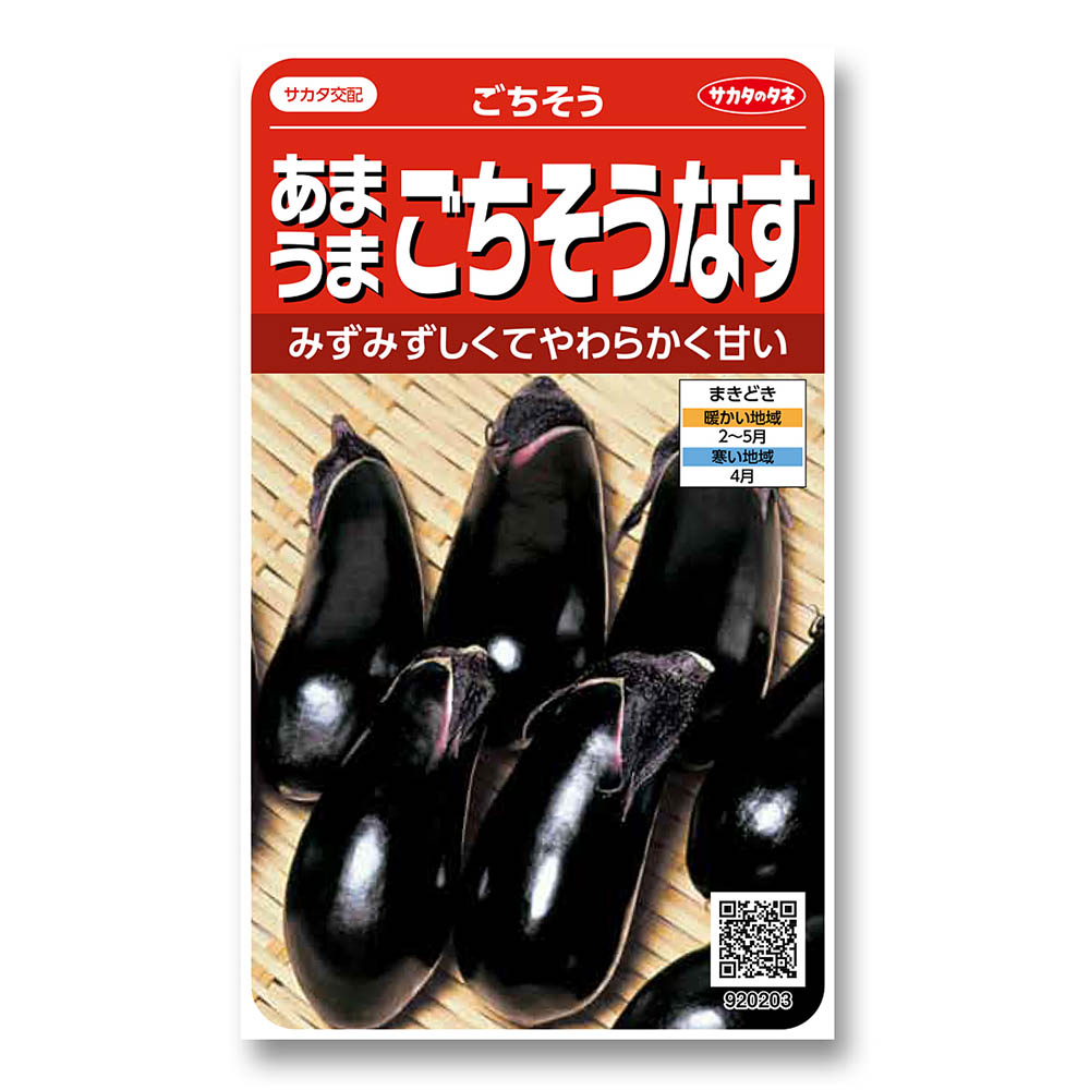 ナス_ごちそうナス　春まき