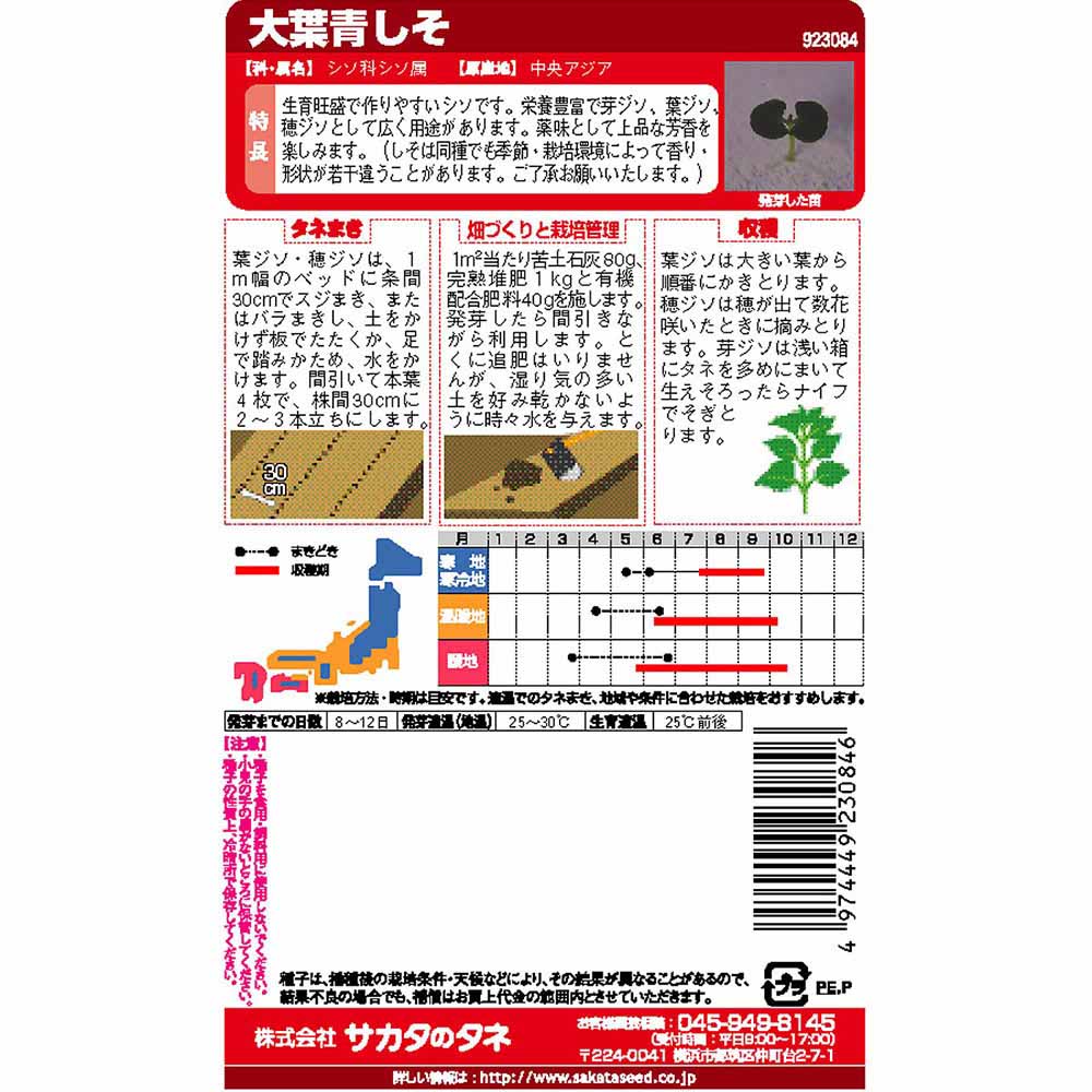 シソ_大葉青しそ　春まき