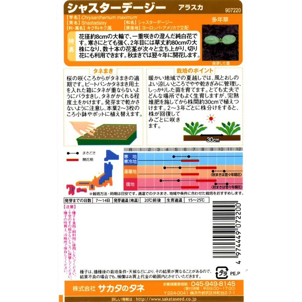 デージー_シャスター デージー_アラスカ　春秋兼用