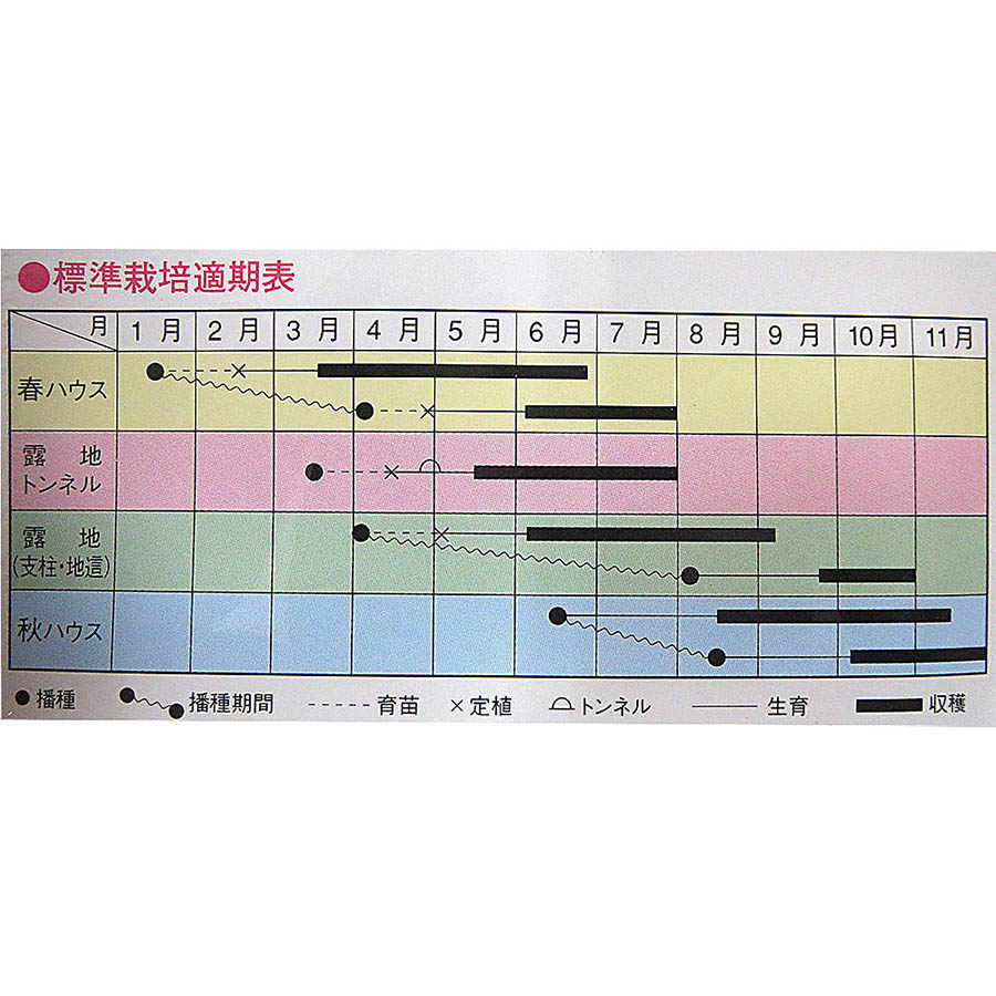 夏秋節成　春秋兼用
