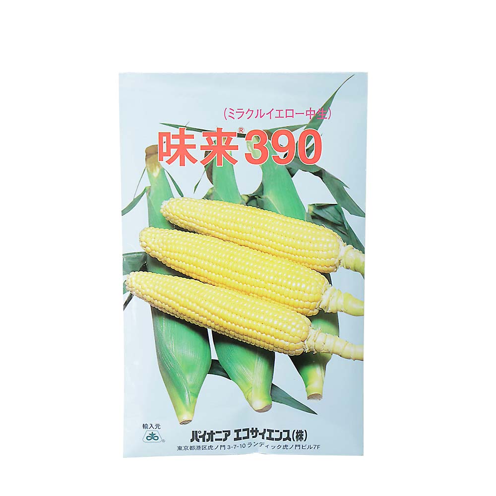 味来３９０　春まき