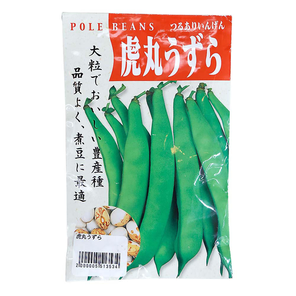 虎丸うずら　春まき