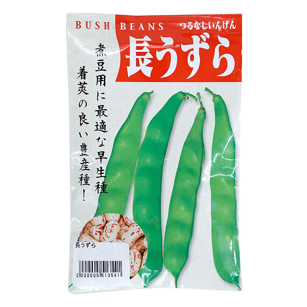長うずら　春まき