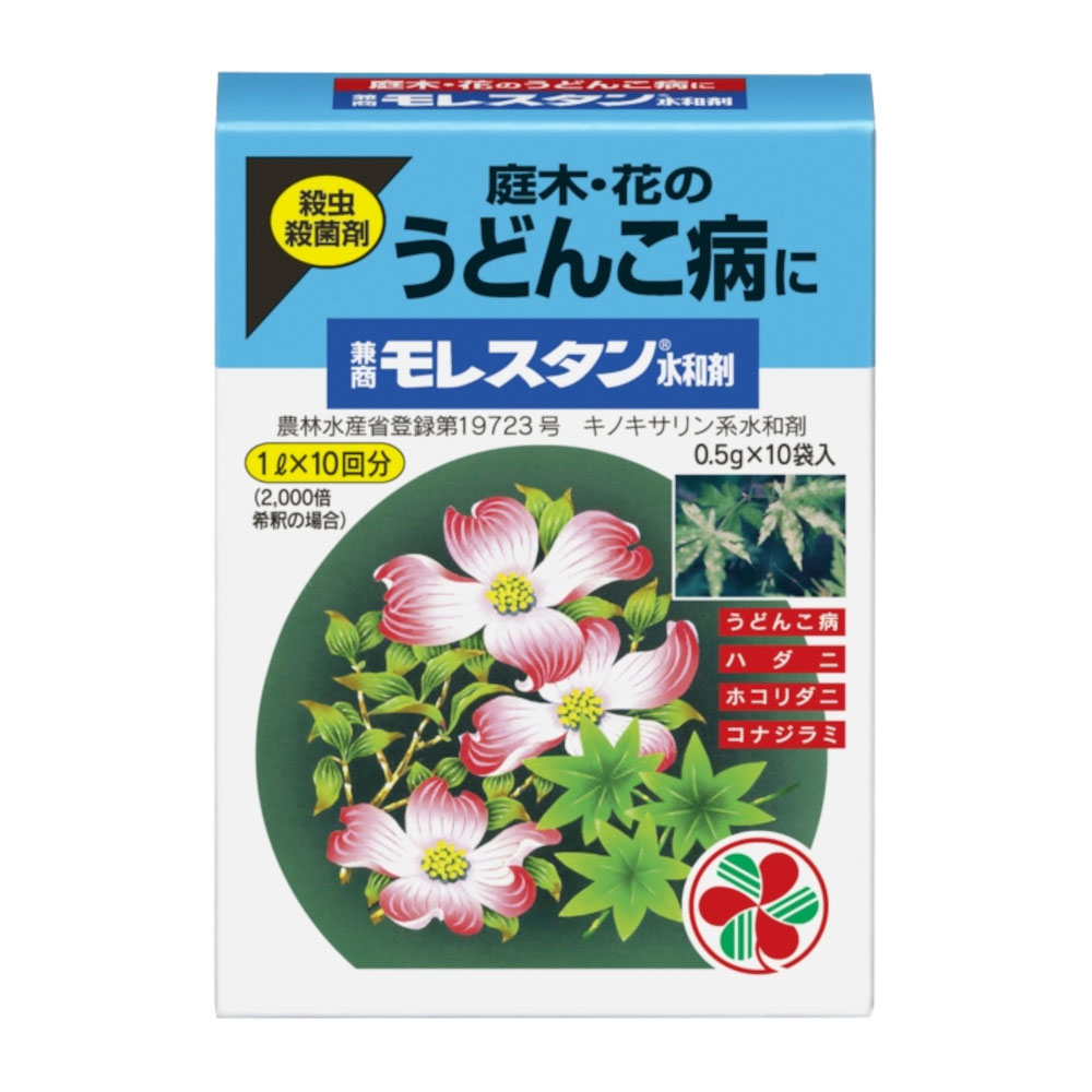 モレスタン水和剤　０．５ｇｘ１０