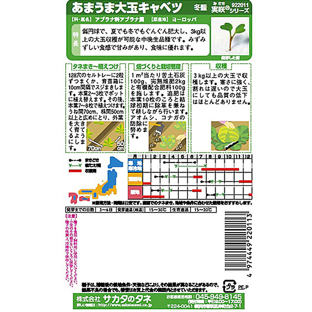 キャベツ_大玉キャベツ_冬藍　春秋兼用